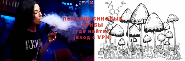 бошки Слюдянка