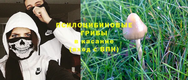 стаф Кропоткин