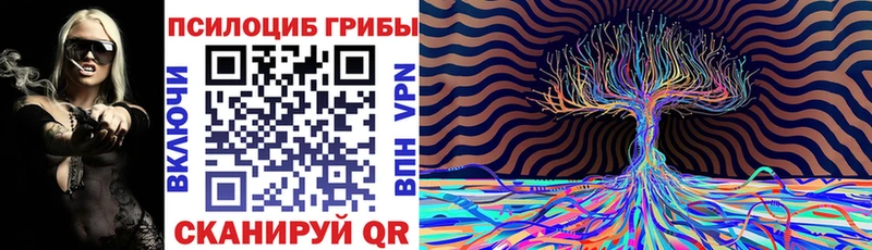 Псилоцибиновые грибы Psilocybe  Николаевск-на-Амуре 